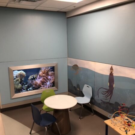 Unmh Ped Acc Dirtt 2019